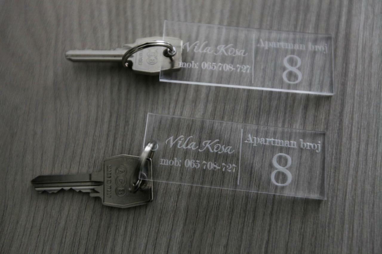 Apartmani Vila Kosa 特雷比涅 外观 照片