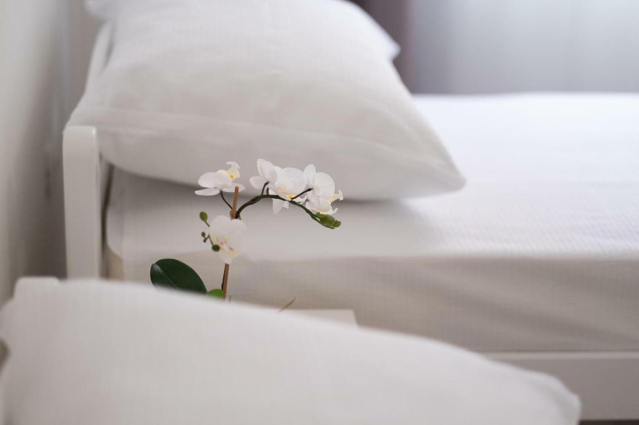 Apartmani Vila Kosa 特雷比涅 外观 照片